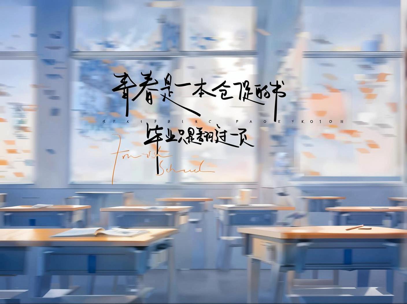 照片4